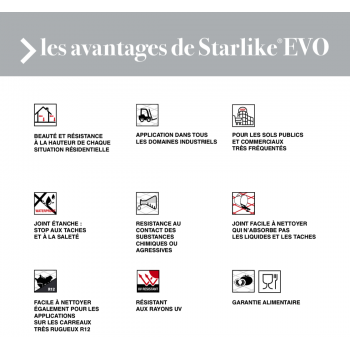 Pot de 2.5 Kgs mortier époxy Litokol Starlike Grigio Ardesia + éponge à émulsionner