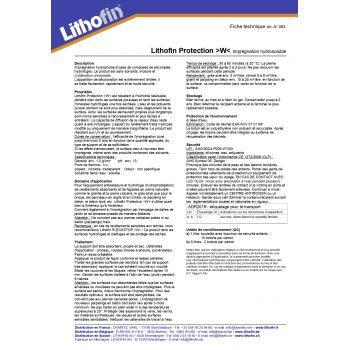 Lithofin PROTECTION W 1 L